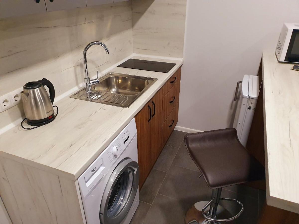 Apartservice In Uzhgorod S39 エクステリア 写真